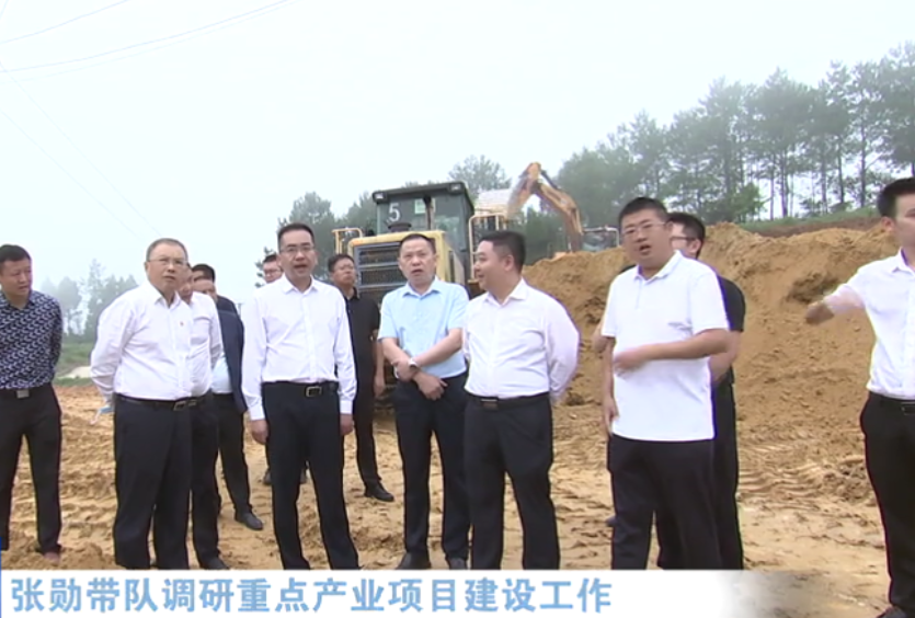 张勋带队调研重点产业项目浙川茶旅产业园建设情况